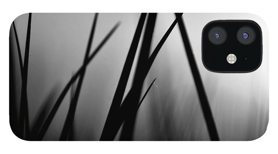 Black And White iPhone 12 Case featuring the photograph Black is the Blade Grass by Debra Banks