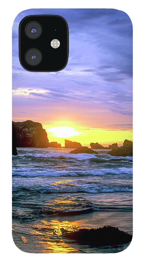 West Coast iPhone 12 Case featuring the photograph Blue and Gold Vertical by Randy Bradley