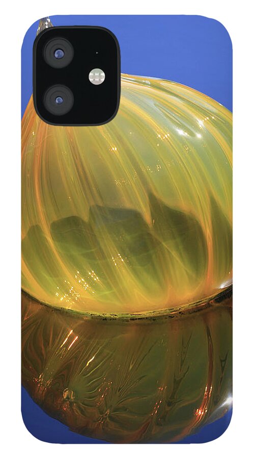  iPhone 12 Case featuring the photograph Bright Reflection by Tina Uihlein