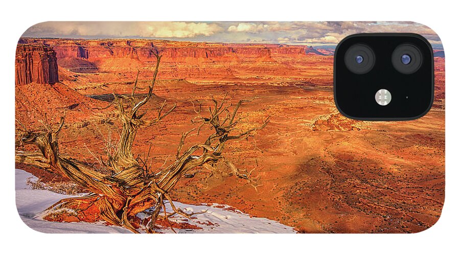 Buck iPhone 12 Case featuring the photograph Buck Canyon in Winter by Kenneth Everett