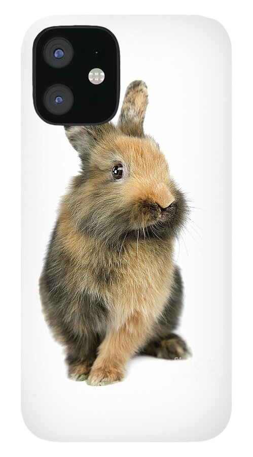 Bunny iPhone 12 Case featuring the photograph Bunny Joy by Renee Spade Photography