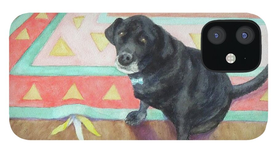 Black Lab iPhone 12 Case featuring the painting Busted by Phyllis Andrews