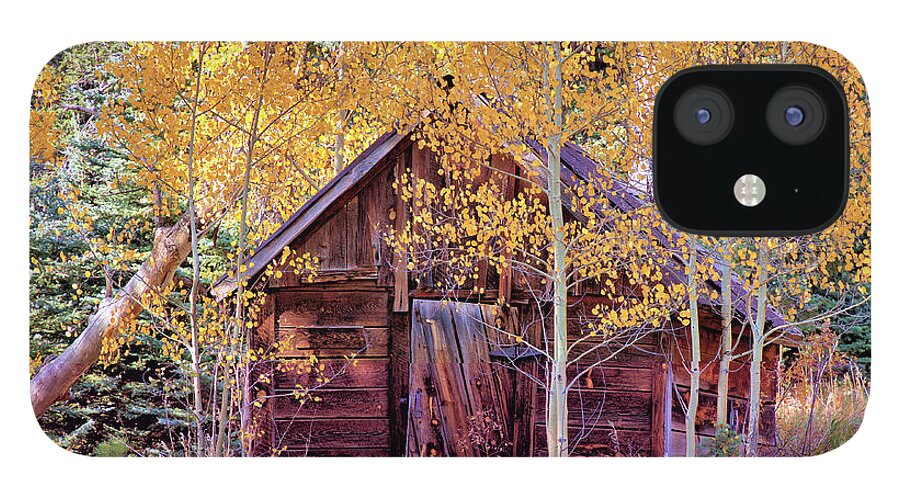 Cabin iPhone 12 Case featuring the photograph Cabin in the Forest by Bob Falcone