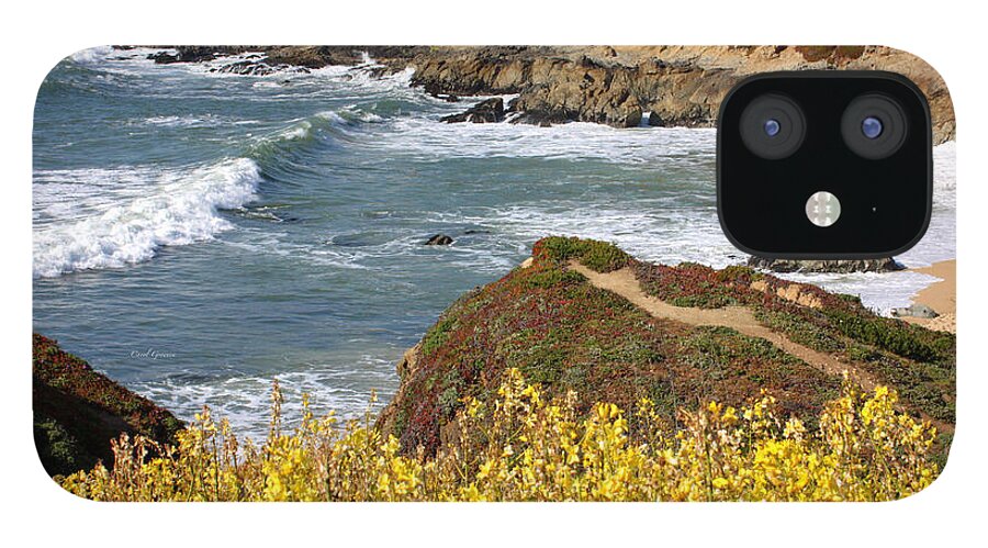 California iPhone 12 Case featuring the photograph California Coast Overlook by Carol Groenen