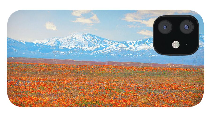 Poppies iPhone 12 Case featuring the photograph California poppies by Stella Levi