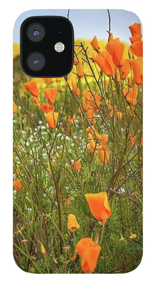 California Poppy iPhone 12 Case featuring the photograph California Poppy Fields by Rebecca Herranen