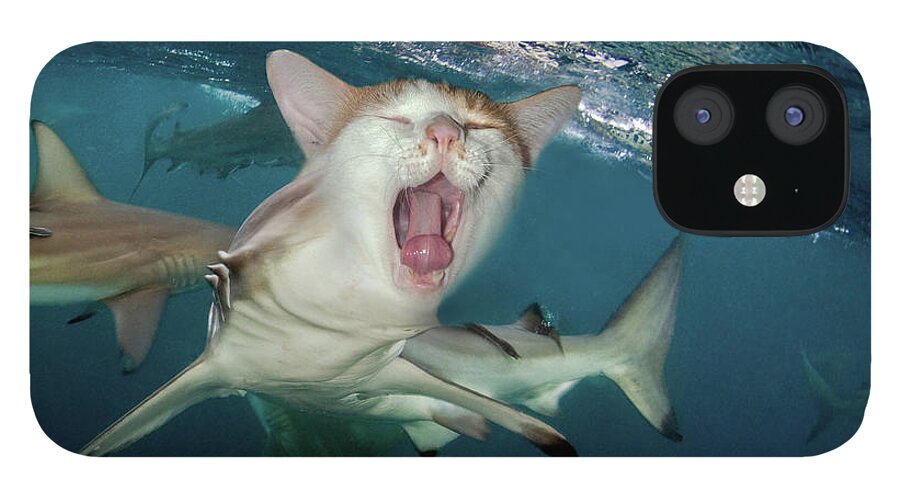 Cat Shark iPhone 12 Case by Dray Van Beeck - Pixels