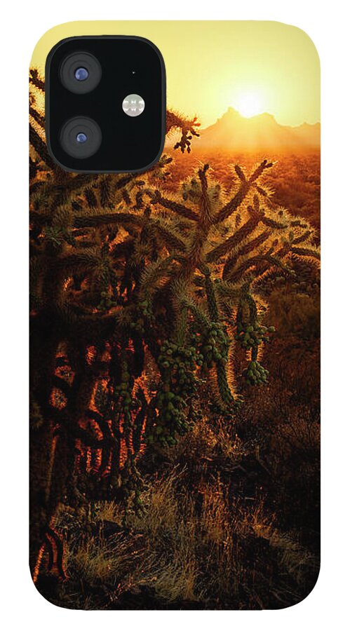 Arizona iPhone 12 Case featuring the photograph Cholla and Picacho by James Covello