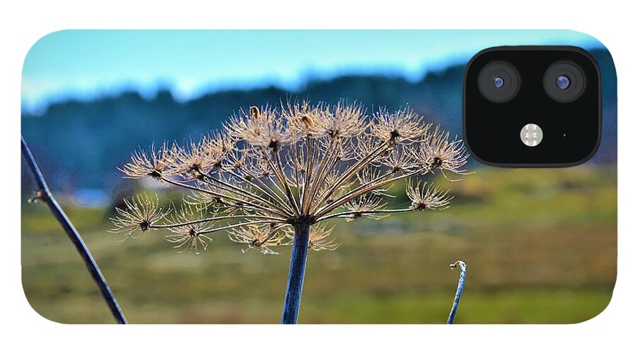 Spring iPhone 12 Case featuring the photograph Coning to Life in Spring by James Cousineau