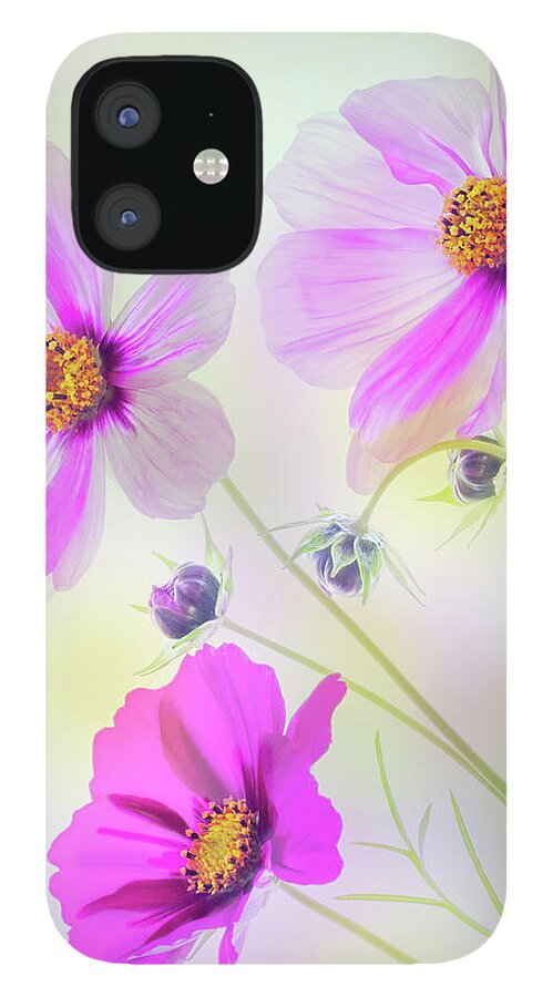 Cosmos iPhone 12 Case featuring the photograph Cosmos Dance by Diane Fifield