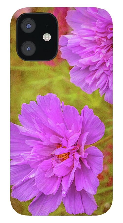 Cosmos iPhone 12 Case featuring the photograph Cosmos Fizzy by Diane Fifield
