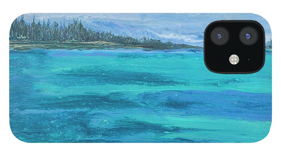 Seascape iPhone 12 Case featuring the painting Cow Key Channel by Steve Shaw