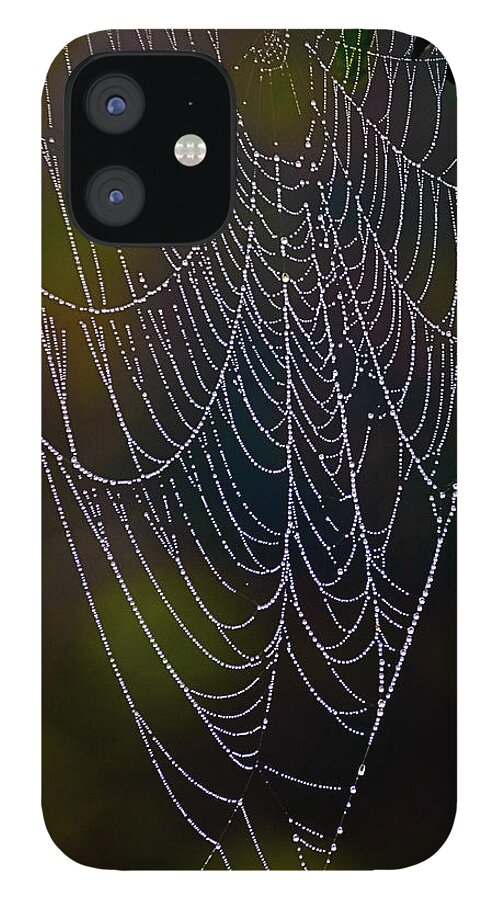 Dew iPhone 12 Case featuring the photograph Dew on a Spider Web - Washington, West Virginia by David Morehead