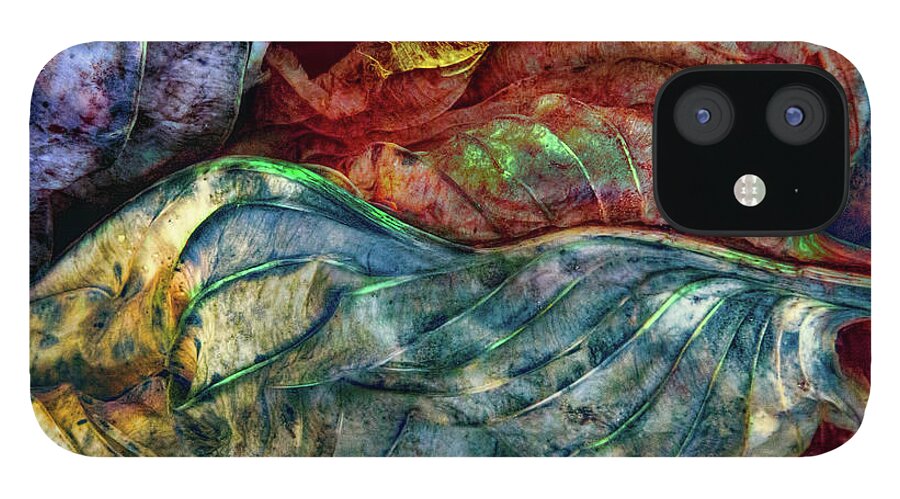 Leaves iPhone 12 Case featuring the photograph Dream Land by Marilyn Cornwell