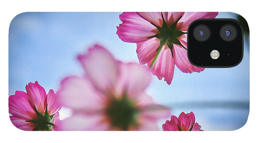 Flower iPhone 12 Case featuring the photograph Dreamy Denver Sky by Carol Jorgensen
