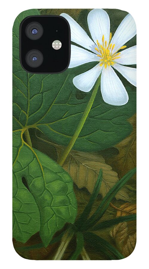 Bloodroot iPhone 12 Case featuring the painting Early Bloomer Bloodroot by Adrienne Dye