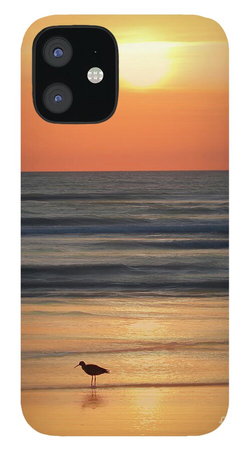 Dawn iPhone 12 Case featuring the photograph Early Morning on the Beach by Neala McCarten