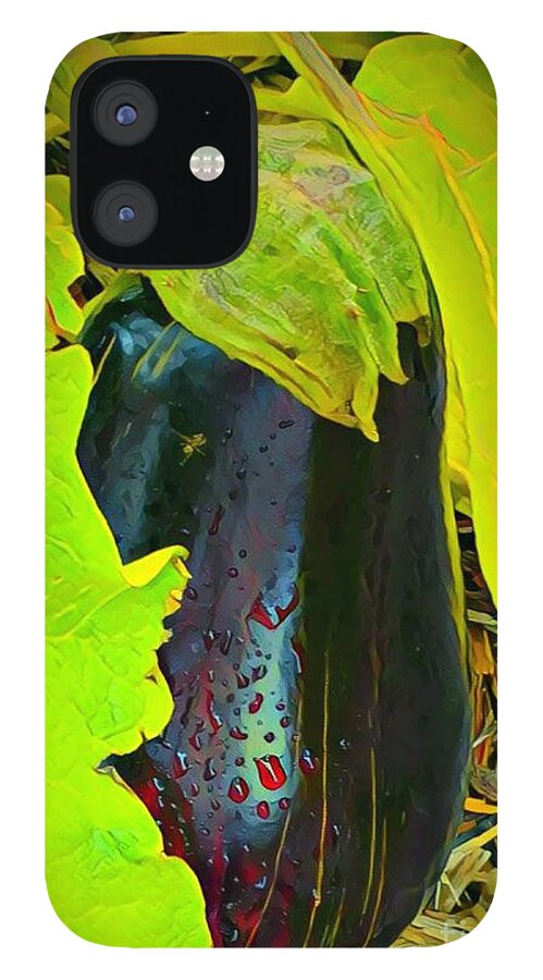 Eggplant iPhone 12 Case featuring the painting Eggplant Ready to Harvest by Marilyn Smith