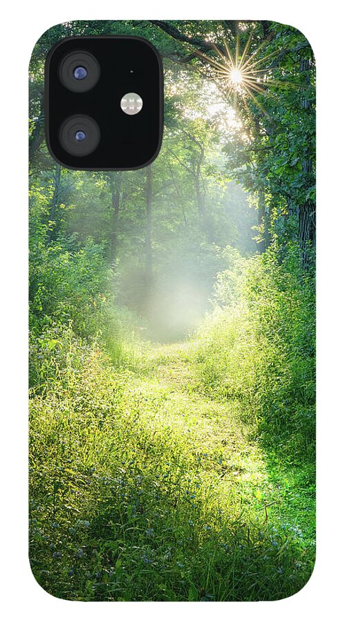 Path iPhone 12 Case featuring the photograph Enchanting by Brad Bellisle