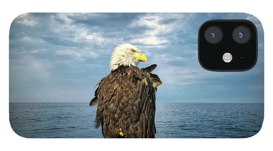 Bald Eagle iPhone 12 Case featuring the photograph Enjoying a Maine Sky by Jack Wilson