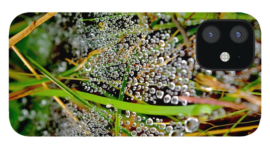 Dewdrops iPhone 12 Case featuring the photograph Ephemeral Dewdrops on Cobwebs by Debra Banks