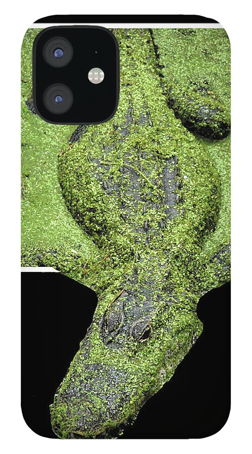 Alligator iPhone 12 Case featuring the photograph Escaping Gator by Jerry Griffin