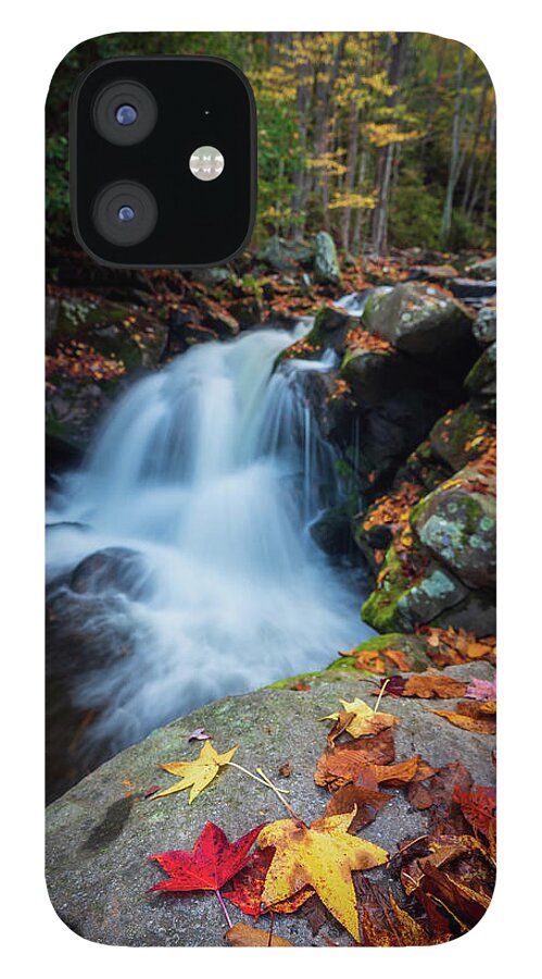Fall Colors iPhone 12 Case featuring the photograph Falls in the fall by Darrell DeRosia