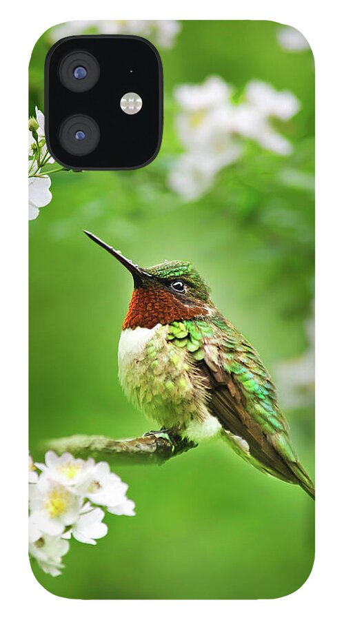 Hummingbird iPhone 12 Case featuring the photograph Fauna and Flora - Hummingbird with Flowers by Christina Rollo