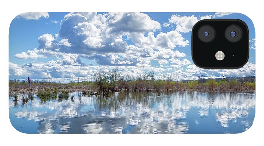 Tree iPhone 12 Case featuring the photograph Fern Hill Pond by Loyd Towe Photography