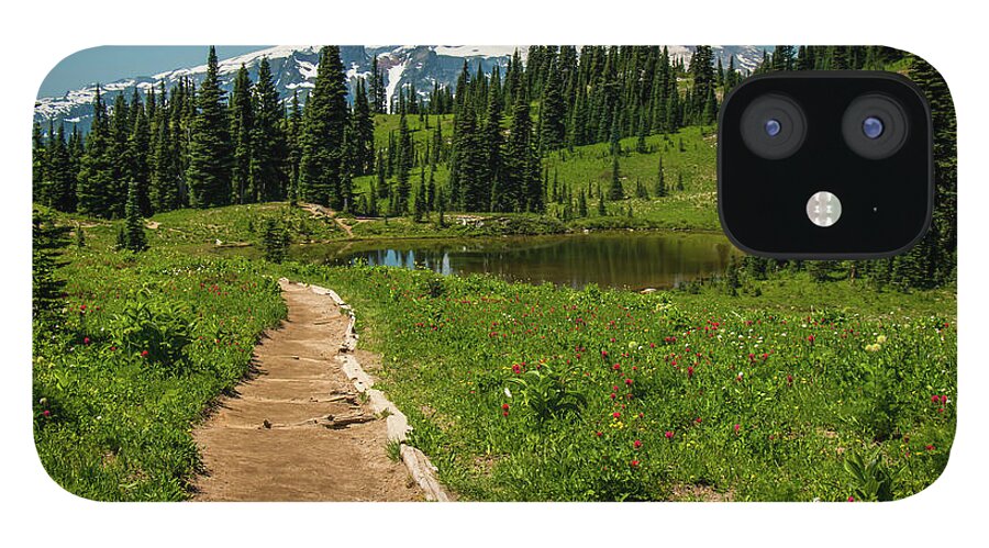 Mt Rainier National Park iPhone 12 Case featuring the photograph Finally Home by Doug Scrima