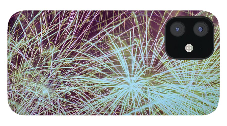 Fireworks iPhone 12 Case featuring the photograph Fireworks by HW Kateley