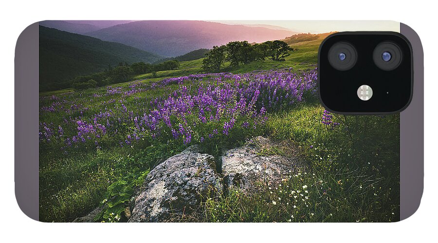Flower iPhone 12 Case featuring the photograph Floral Sunset by Jason Roberts