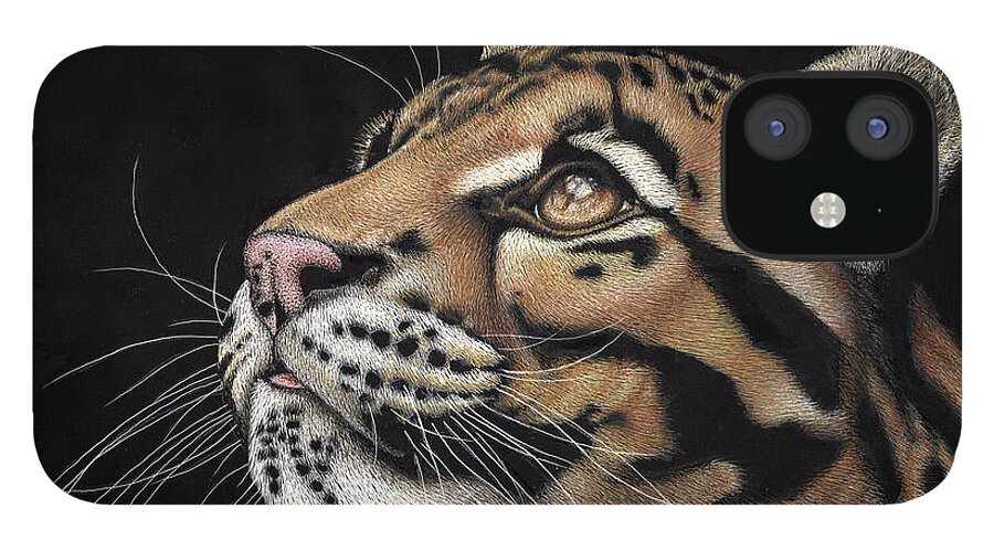 Clouded Leopard iPhone 12 Case featuring the drawing Focus by Sheryl Unwin