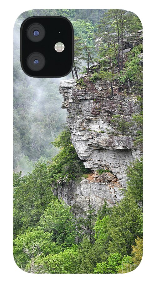 Fall Creek Falls iPhone 12 Case featuring the photograph Fog In The Valley by Phil Perkins