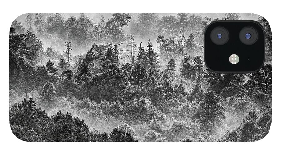 North Carolina iPhone 12 Case featuring the photograph Foggy Treetops bw by Dan Carmichael
