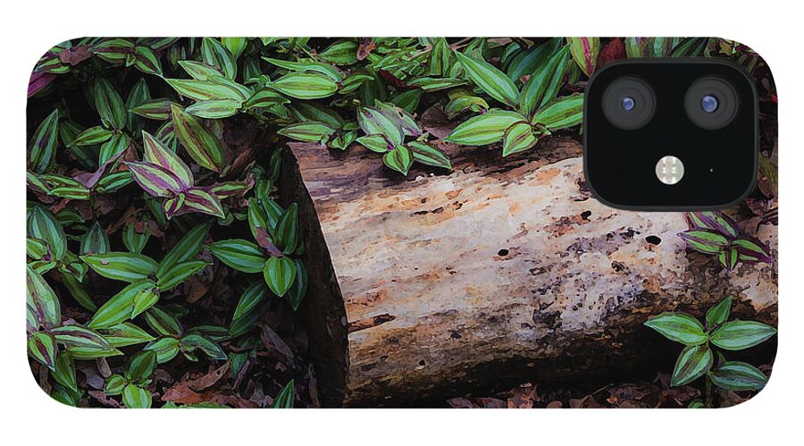Zebrina Pendula iPhone 12 Case featuring the photograph Forest Floor by Neala McCarten