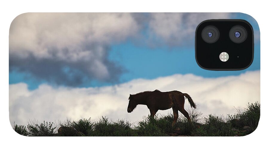 Cute Yearling iPhone 12 Case featuring the photograph Free by Shannon Hastings