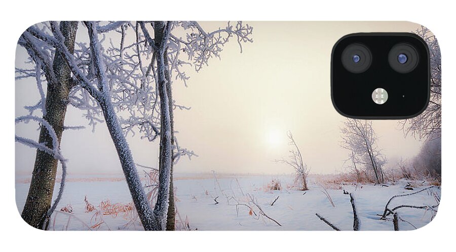  iPhone 12 Case featuring the photograph Frosty Covered Trees by Dan Jurak