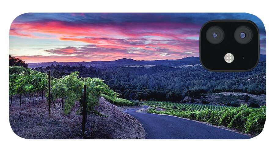 Vineyards iPhone 12 Case featuring the photograph Gianelli Vineyard by Gary Johnson