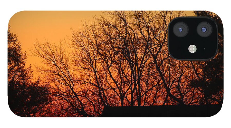 Sunrise iPhone 12 Case featuring the photograph Golden Morning February 8 2021 by Miriam A Kilmer