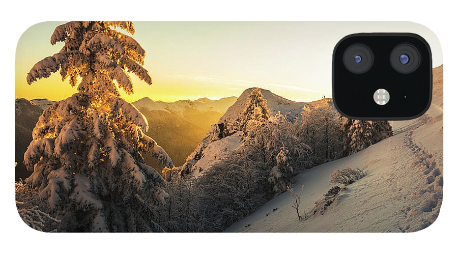 Balkan Mountains iPhone 12 Case featuring the photograph Golden Winter by Evgeni Dinev