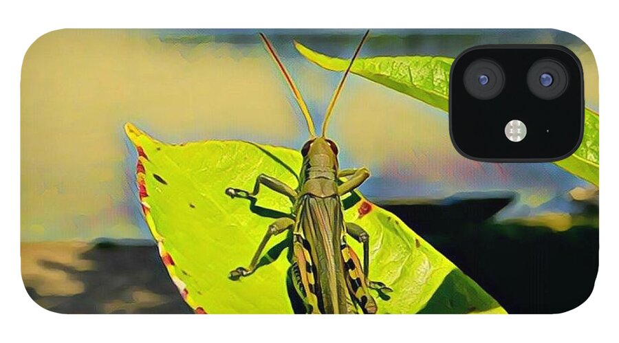 Mississippi River iPhone 12 Case featuring the painting Grasshopper Sunning by Marilyn Smith