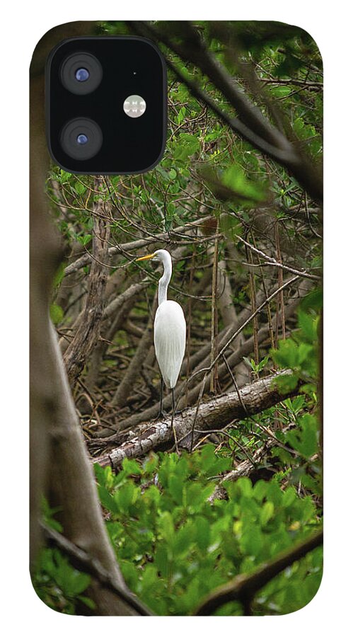 Florida iPhone 12 Case featuring the photograph Great White Heron #1 by Marian Tagliarino