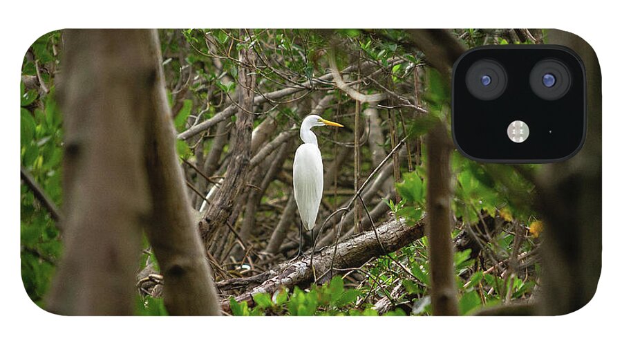 Florida iPhone 12 Case featuring the photograph Great White Heron Horizontal by Marian Tagliarino