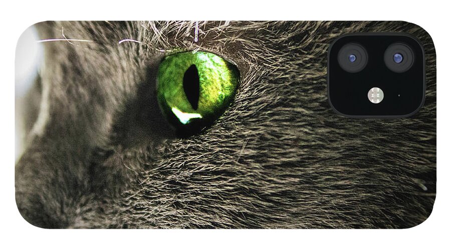  iPhone 12 Case featuring the photograph Green Cats Eye by Nicole Engstrom