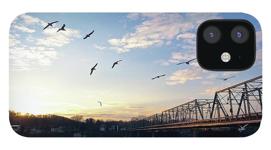 +pixels iPhone 12 Case featuring the photograph Gulls at the Bridge #2 by Christopher Plummer