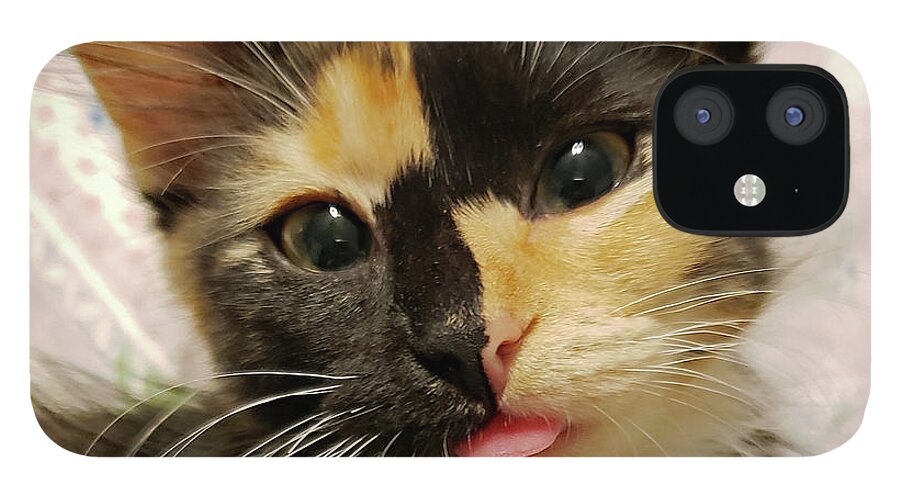 Kitten; Cute Kitten; Cat; Cute Cat; Tortoiseshell; Calico; Cute; Animal; Pet; Funny; Tongue; Silly; Happy; Square iPhone 12 Case featuring the photograph Harlequin by Tina Uihlein