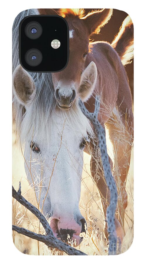 Mom & Baby iPhone 12 Case featuring the photograph Headrest by Shannon Hastings