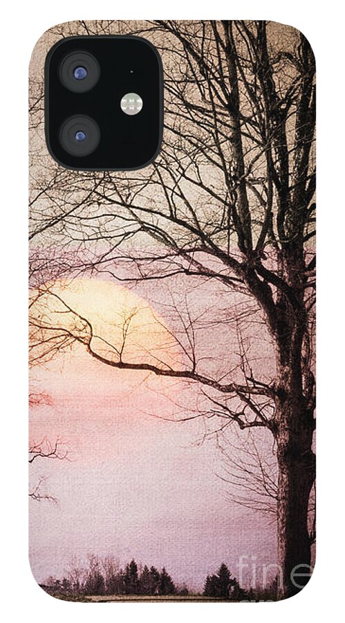 Nag005632 iPhone 12 Case featuring the digital art Heading for the Light by Edmund Nagele FRPS