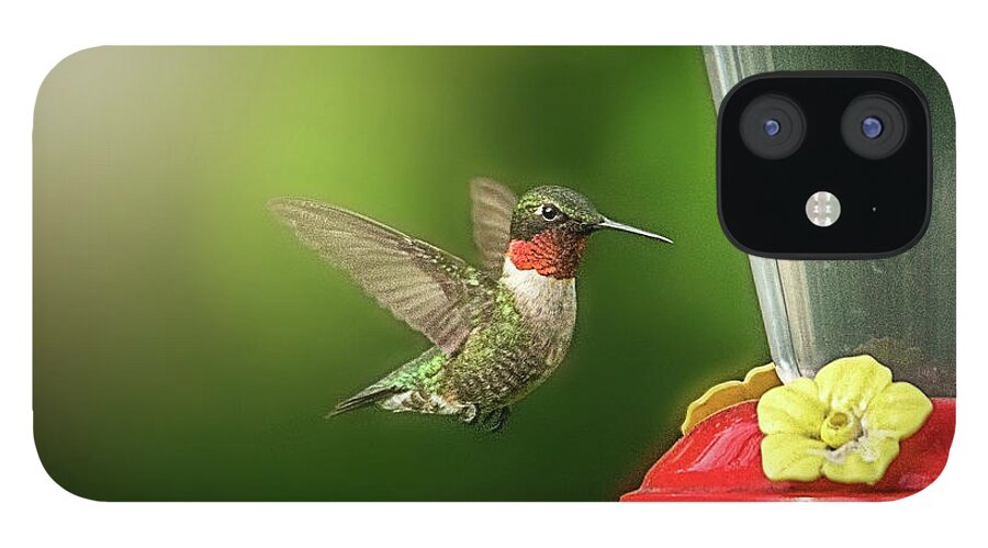  iPhone 12 Case featuring the photograph Hummingbird beauty by Nicole Engstrom